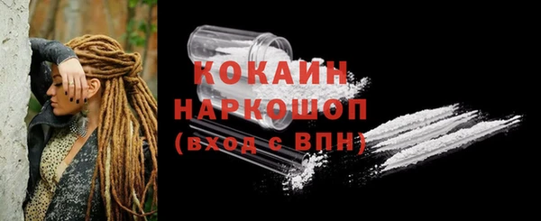 кокс Инсар