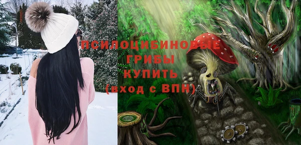 дмт Инта