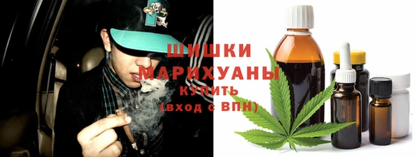 дмт Инта