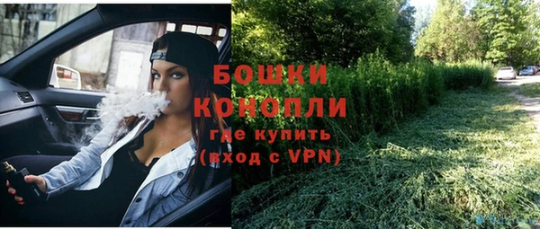 кокс Инсар