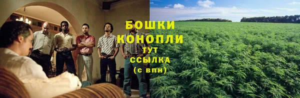 прущая мука Каменка