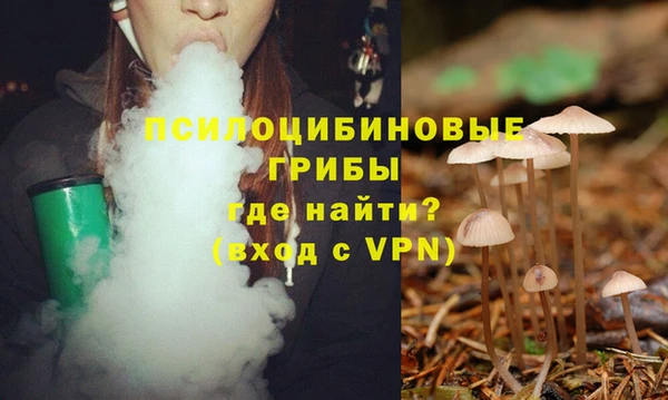 кокаин Каменногорск