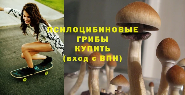 прущая мука Каменка