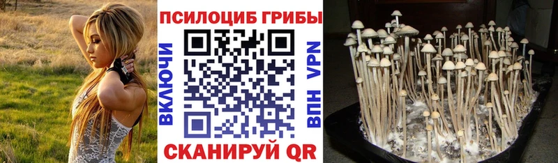 Псилоцибиновые грибы Magic Shrooms Купить где Ахтубинск