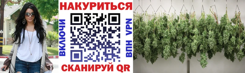 Купить Ахтубинск Бошки марихуана White Widow